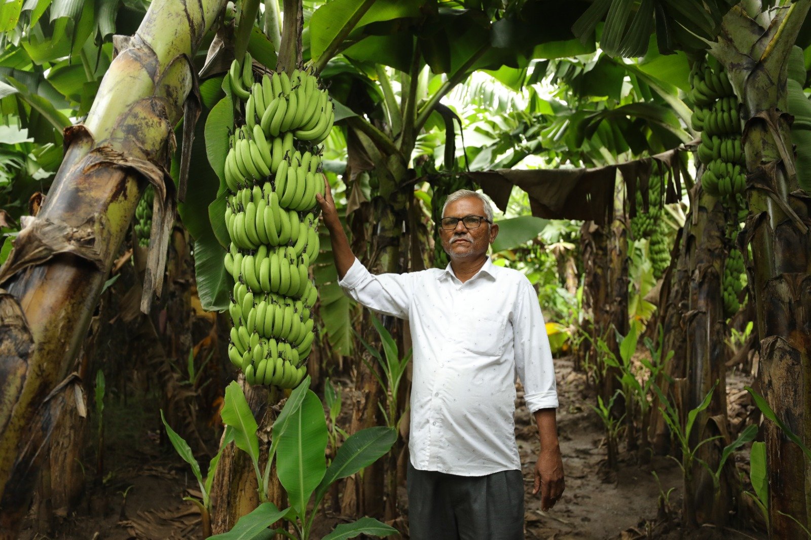 ખેડૂત ધનસુખભાઈ વસાવા