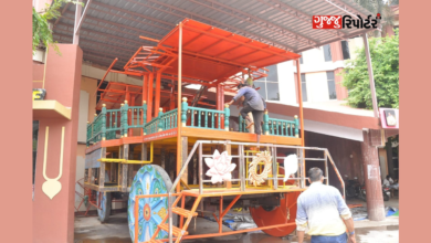 The work of making Lord Jagannath's chariot started