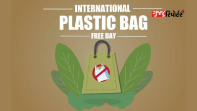 Hate plastic, reward environment: July 3, 'Plastic Bag Free Day' Use only cloth bags