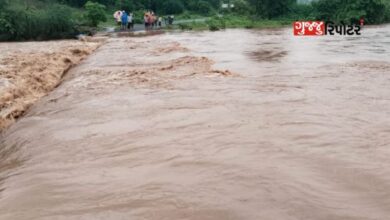 In Umarpada taluka, Cherrapunji of the district, the total of the season is 1008 mm. That is, it rained 40 degrees