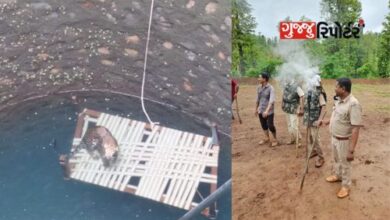 After a leopard fell into a well on the outskirts of Jamlapada village in the taluka, it was rescued by the forest department and brought out after a lot of effort.