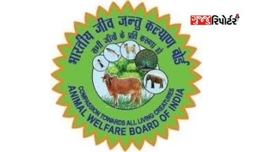Animal Welfare Board of India issued advisory for protection of animals, birds during monsoon