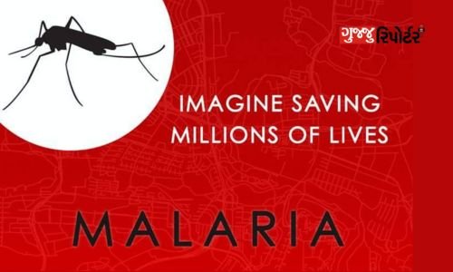 Let's do this as a conscious citizen to prevent the breeding of mosquitoes that spread fevers like malaria, dengue and chikungunya.