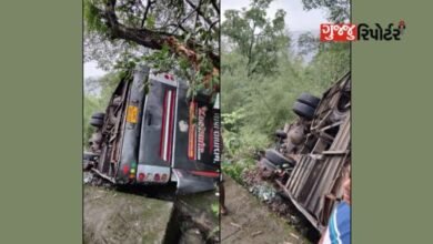 At the ghat of Saputara, the bus plunged into the valley